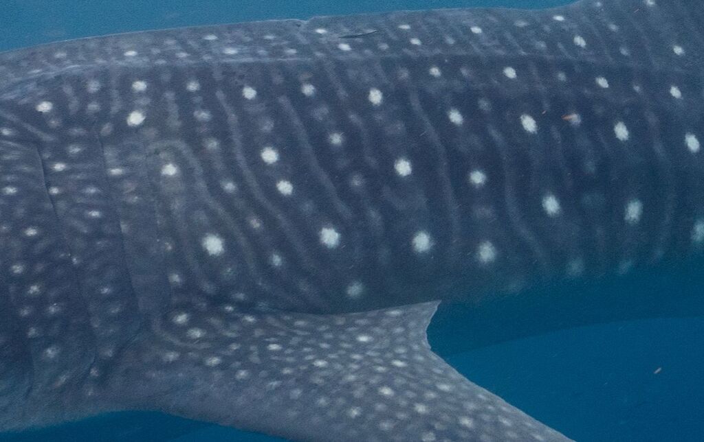 f5251cca-878e-4f02-9623-0484d6866968