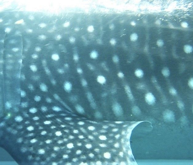 933ac14d-d25a-41b5-aa08-6c657a1906c5