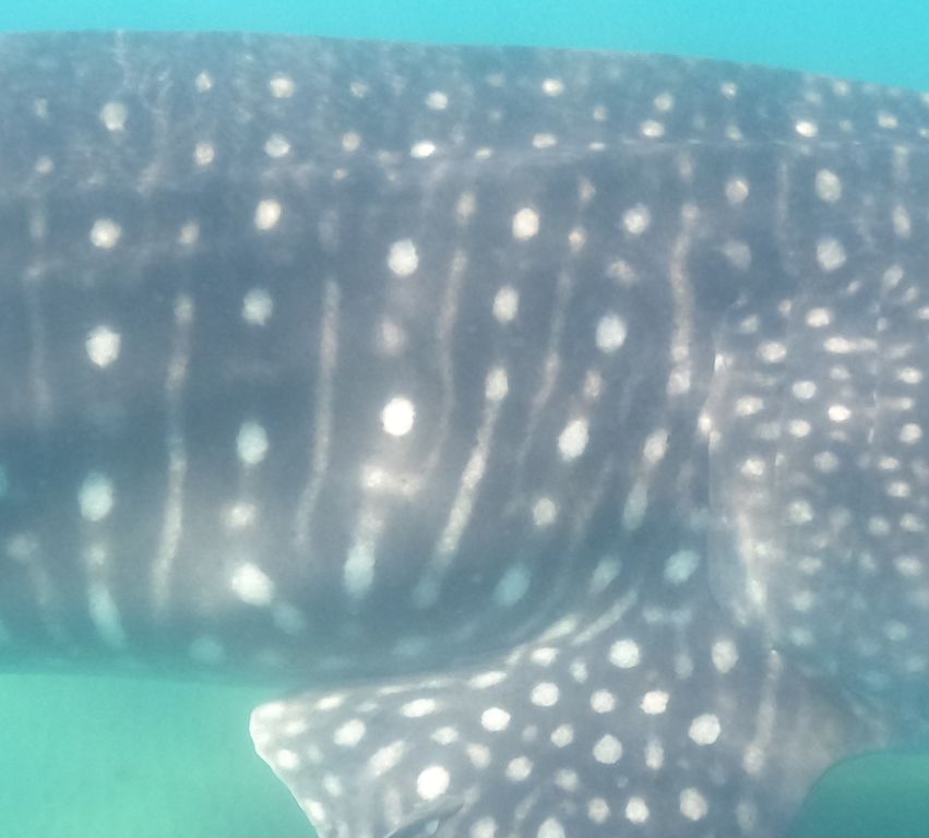 54e4e17e-aa0b-4202-bf44-f9d0c46a2416