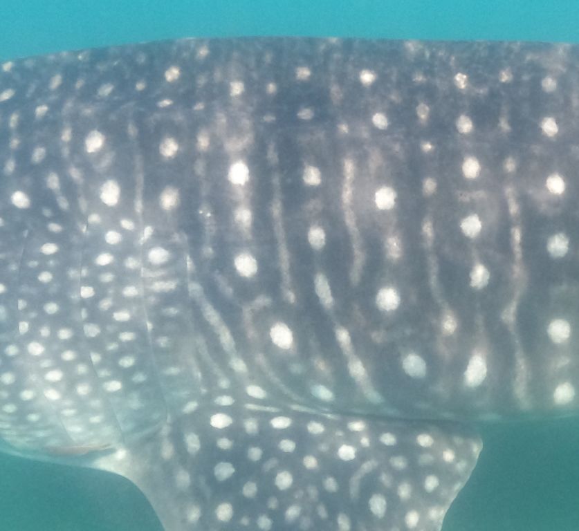 54e4e17e-aa0b-4202-bf44-f9d0c46a2416