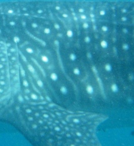 d5f69560-d194-4d56-b905-abdbf6b2c9a0