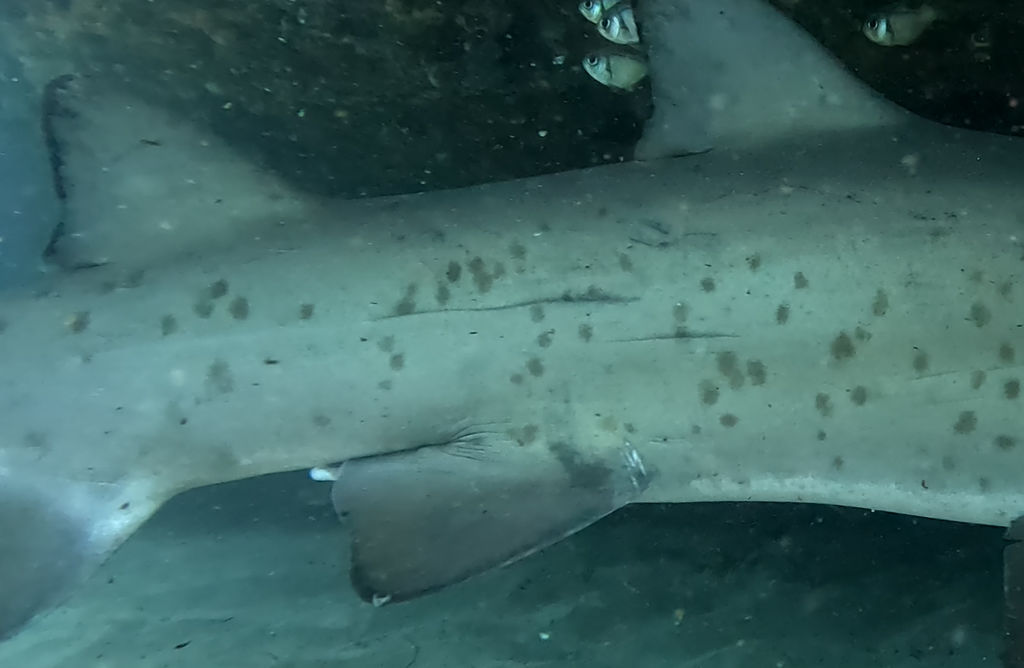 86e5a7f4-8bff-4379-8437-6ef11b5ff6b9