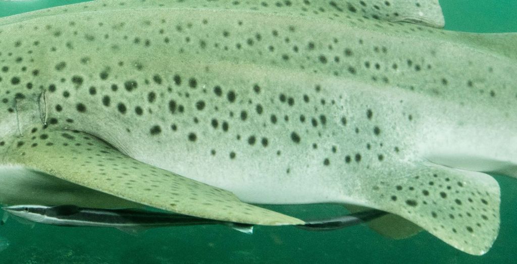 0d1bdc40-0636-42d7-9083-7dbee081271f