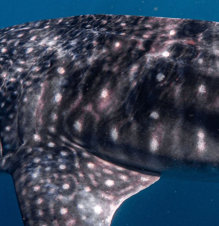 fd213d89-e27b-4087-8148-bac9b534f2cd