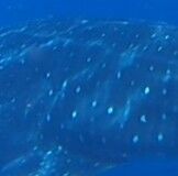 8a393f40-2d56-4e43-bd45-c9a492e38707