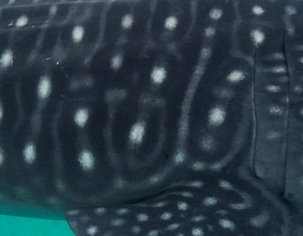 69c9068f-dfa1-4385-841b-f078e86aa6e9