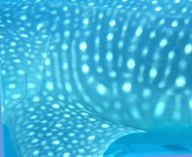 0ad744fe-eae8-4c31-b14b-9c4a9f8e749c