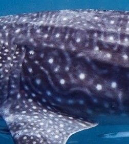 50aeb394-ffa8-4cee-b319-fa3cc33fb1b8