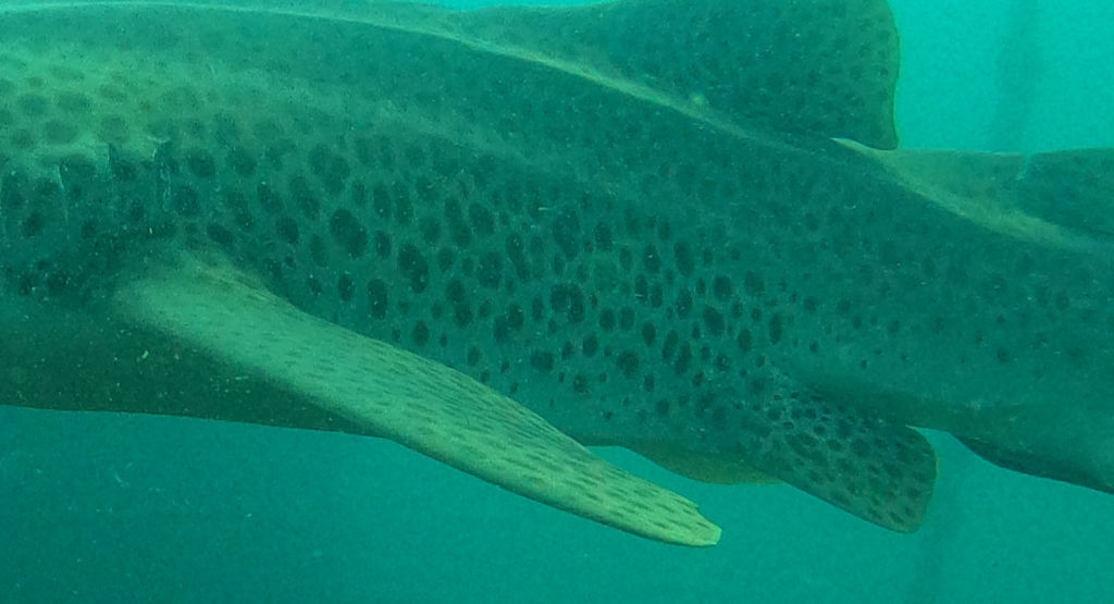 896fa302-dd60-4a22-b5e1-546efd7307f0