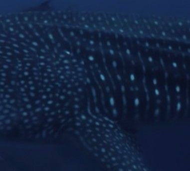 9879e8d9-ed6f-4ac7-90cd-d8539e1ce490