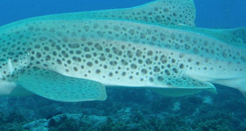 e8361446-5788-4950-a973-5229ddae52de