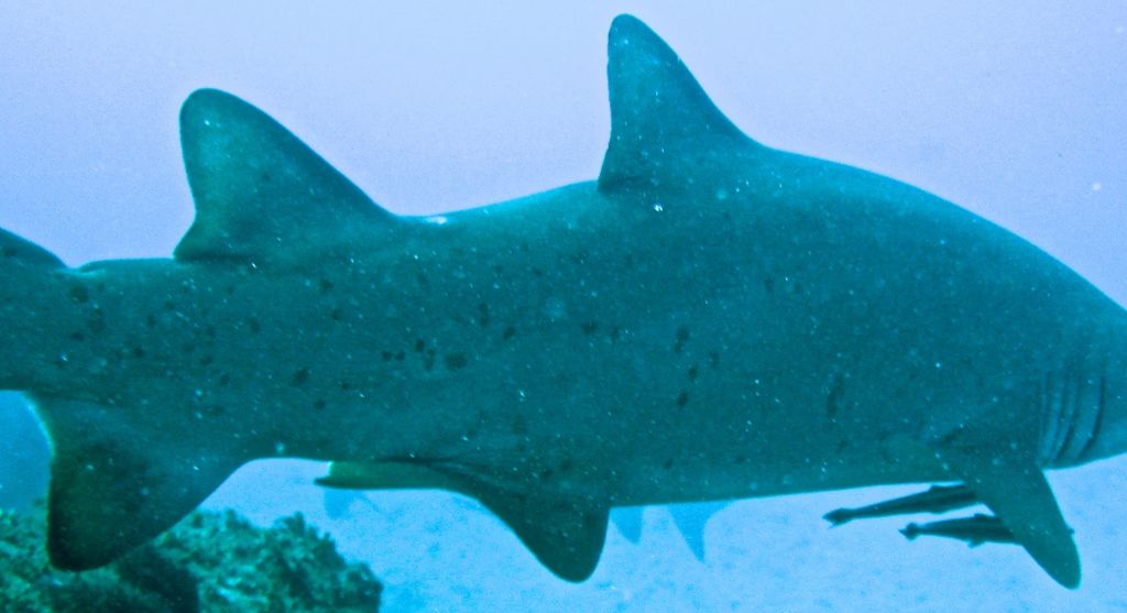 701e831d-ce41-4e34-a3b5-21ea247ba47f