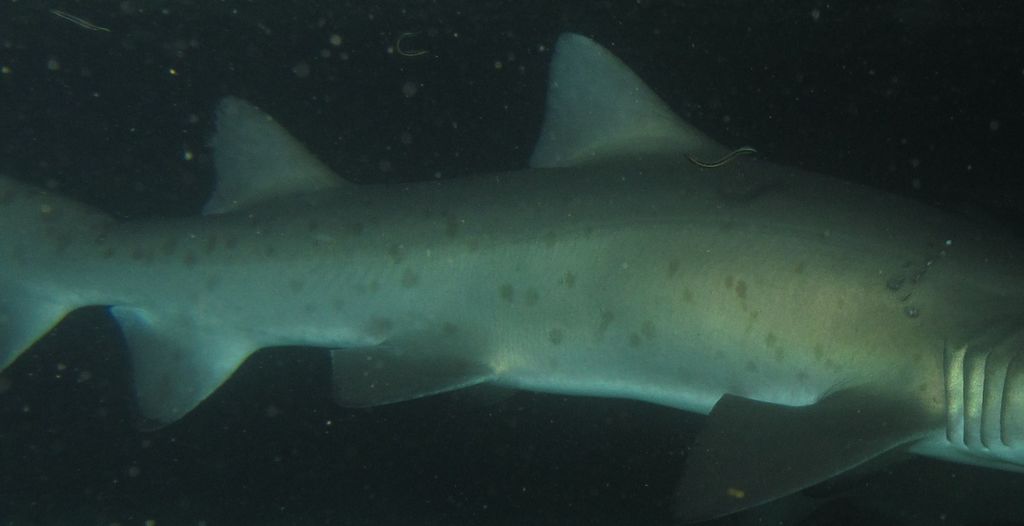 5ffe65ef-bcad-41c6-aa04-f41ce2a5efae