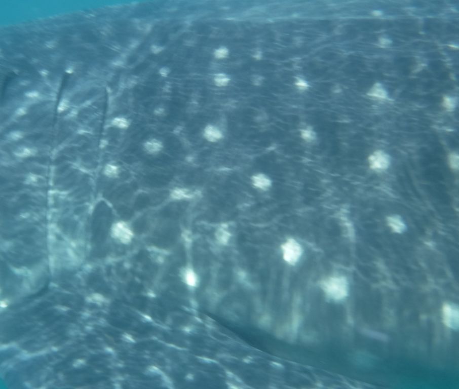 c6204b57-bf52-4465-b3a4-f0bd7ed349d2