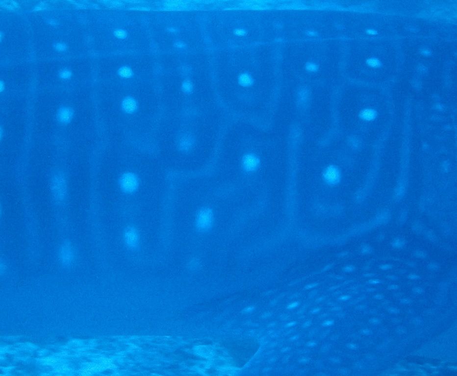 e52d9a45-291b-4944-8694-4b3ae94da9d4