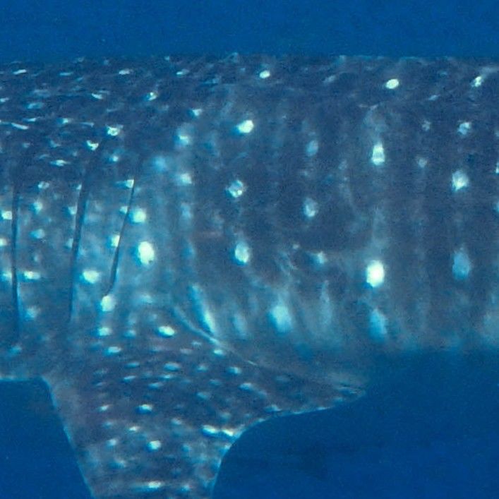 9386806f-0df3-4b84-a109-a5f7cbd1a0c4