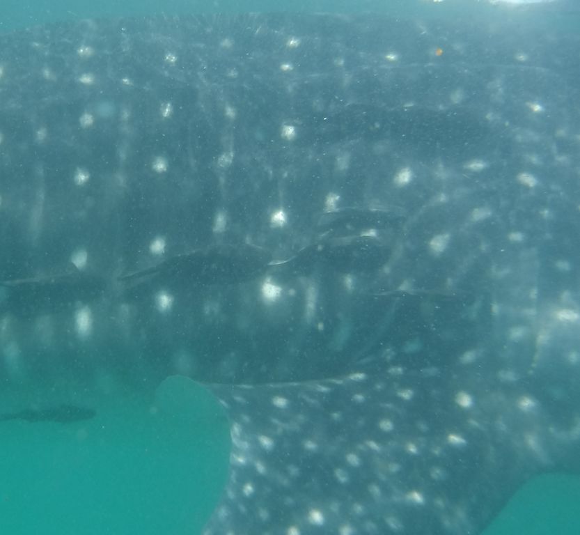 2a055424-97b2-4d1b-bd1f-b875a23c96c8