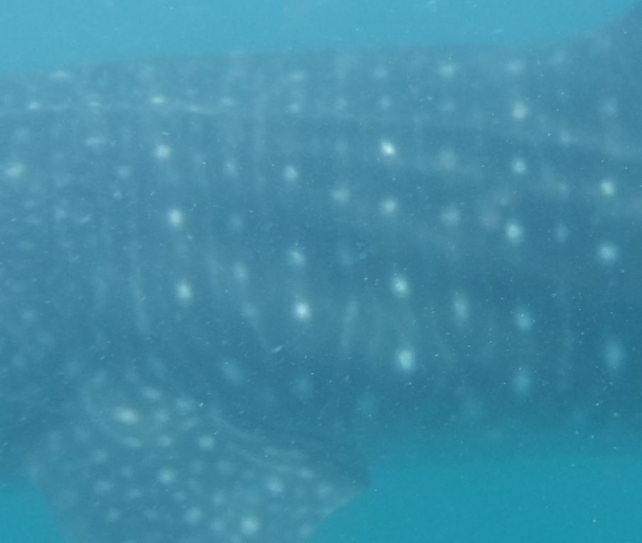 25c0a4cf-3fbe-4e78-a55f-4a3a1ae0cd7b