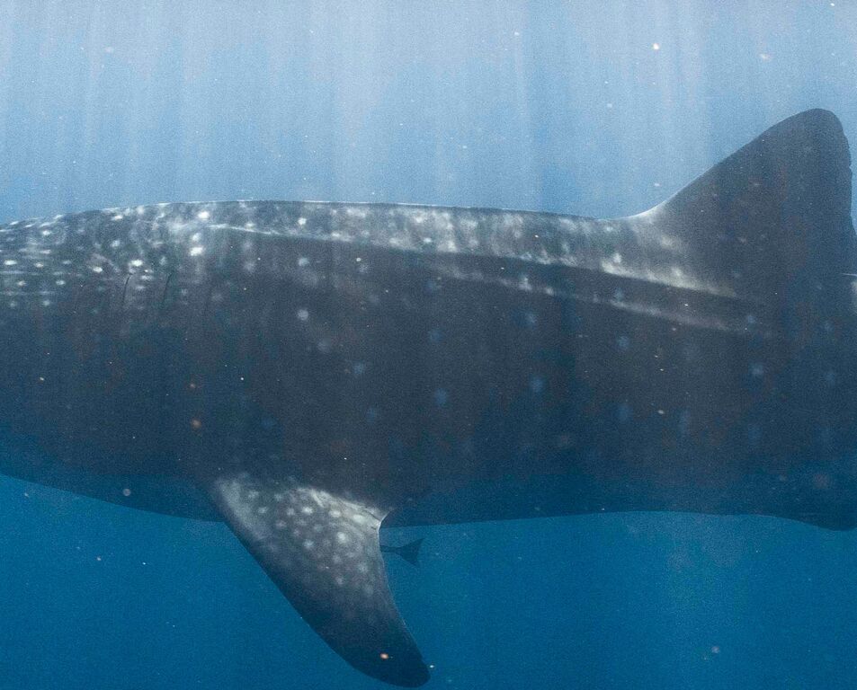 06fda762-e0ec-47d8-a5d2-8b01f167393a