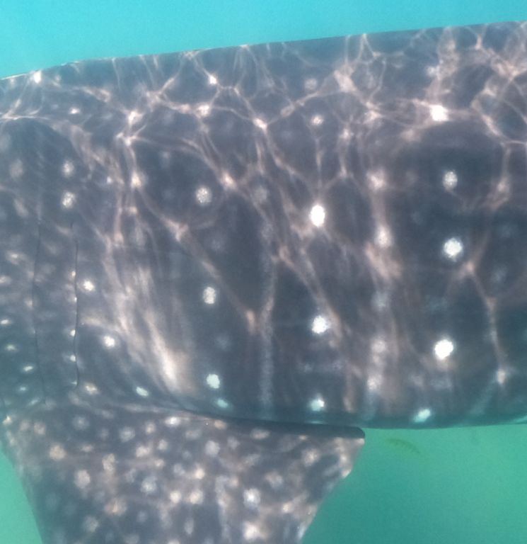 d5659c66-02fd-40ea-8a41-915b8a62fa3e