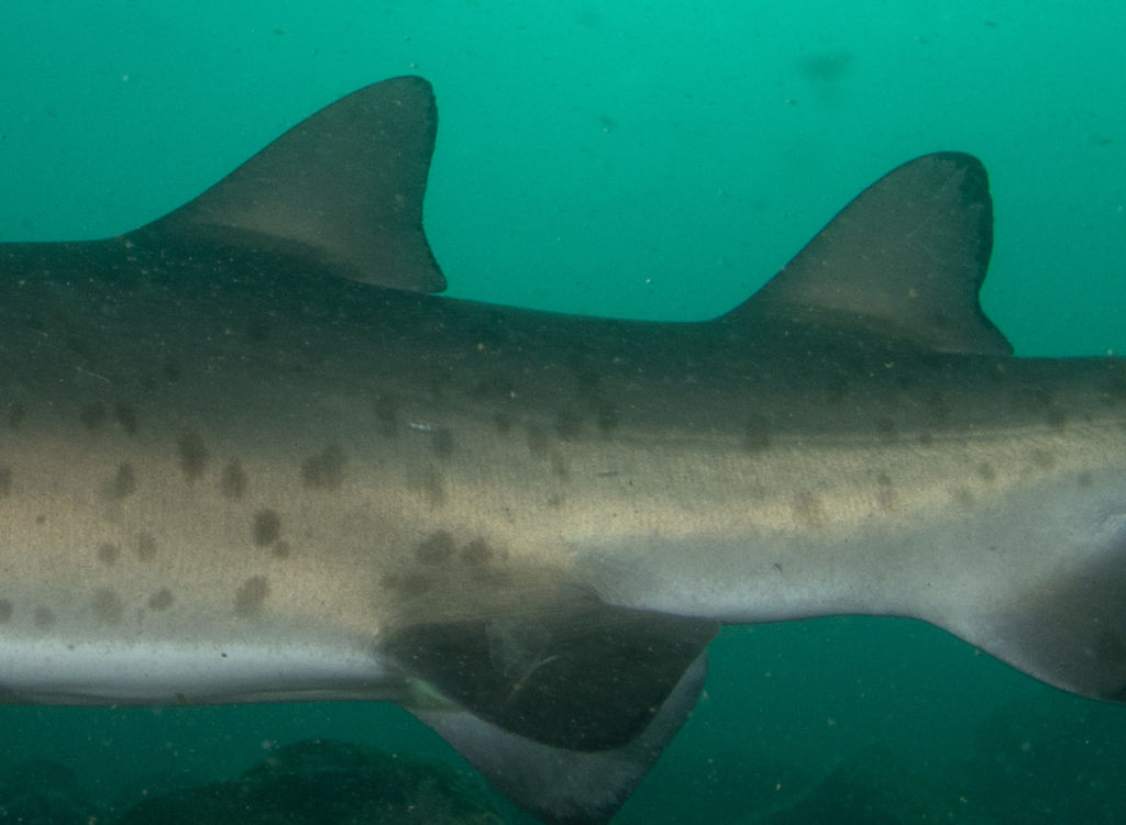 dde99d2a-6e13-47e2-ac28-85c9361f4516