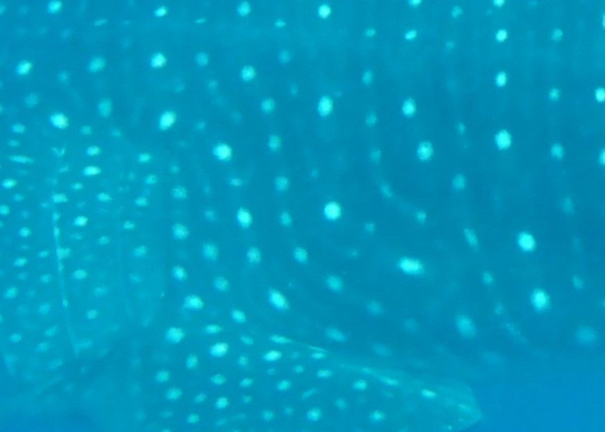 fd91ebc9-0fac-4fa8-95cf-d0fb44444a7f