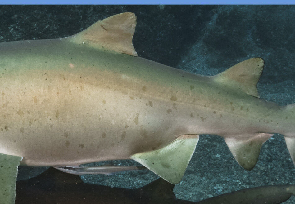 af9e5a02-7ef7-418f-a257-6afcc30d3edb