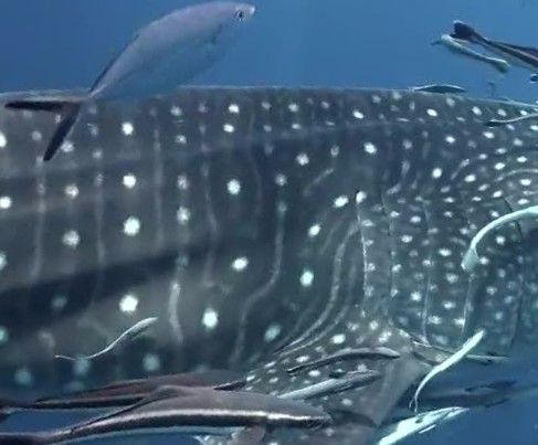 76747458-492c-422f-9cc8-f99a33985b10