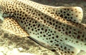 bb0460a9-5b77-4f81-8b92-95f04e7b4a63