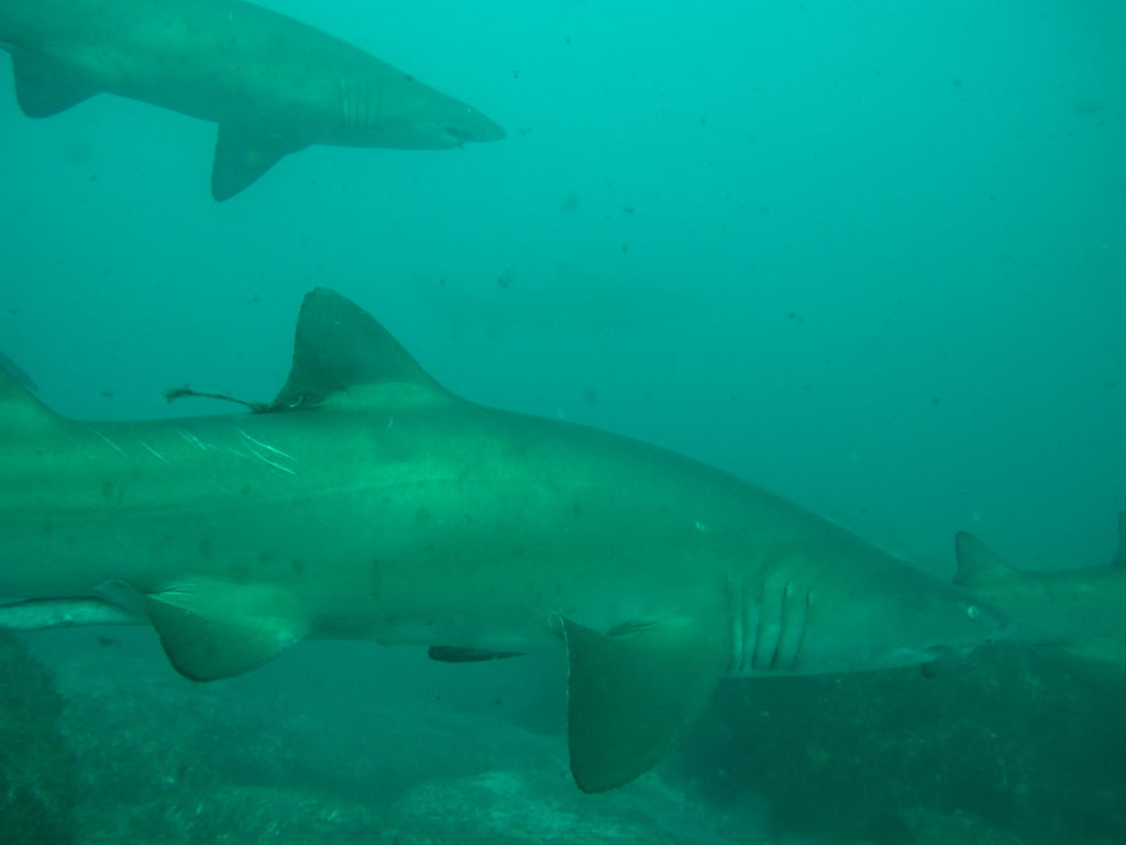 e4f8a17f-90d7-4151-bdef-7f010fad3348