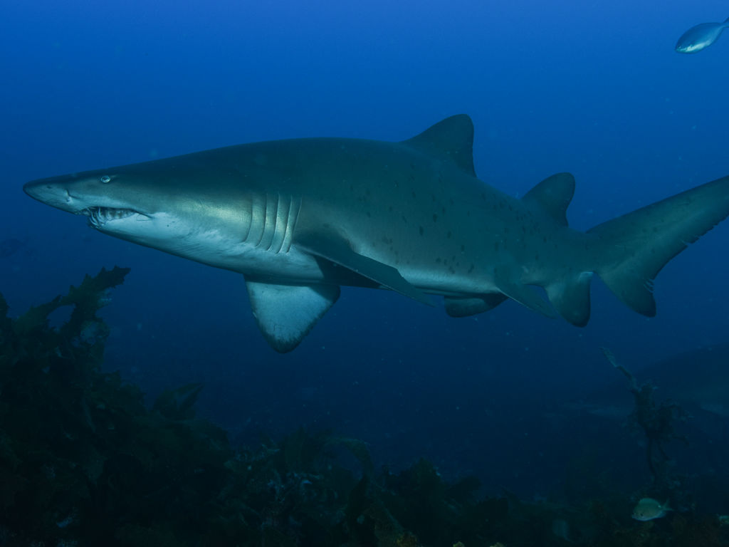 105642f2-2477-41dd-ad4c-fba165722d57