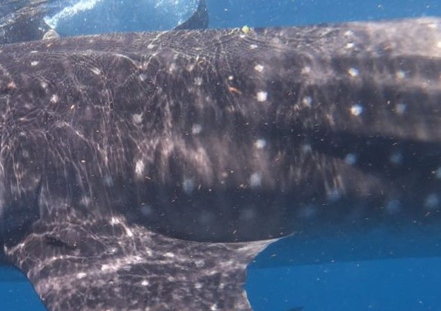 2eb91957-cd79-4180-bf41-1e74bead3a19