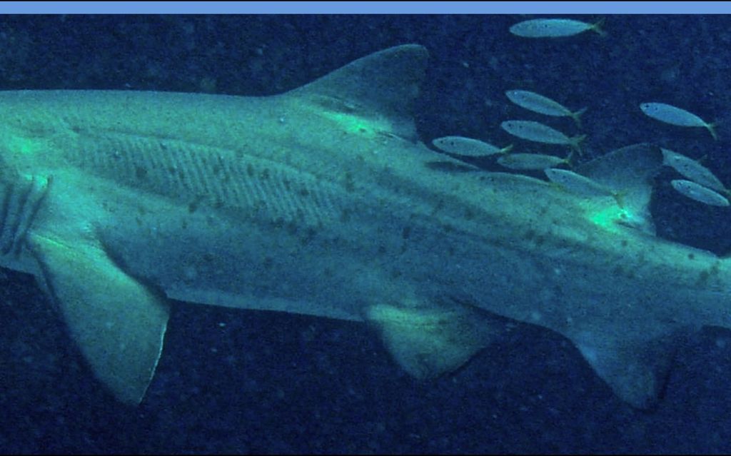 c577eb15-0da9-4e83-95d8-69cf112994c9