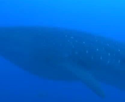 b1440760-587f-4e2b-966b-c792e60ecf88