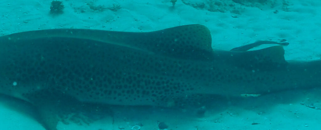 9f40b05d-5cb6-40a1-8c3b-21618f11febb