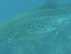 e5c151ec-1895-4350-bb91-736d8f04b8e8