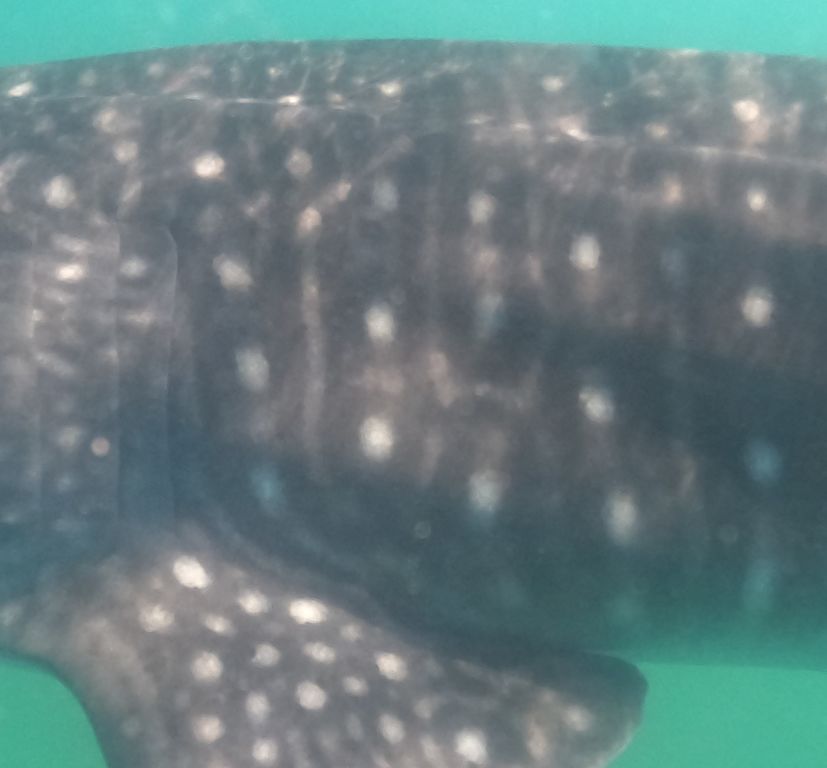 a7b4fdd2-e31a-4ccc-9738-9993b188df0f