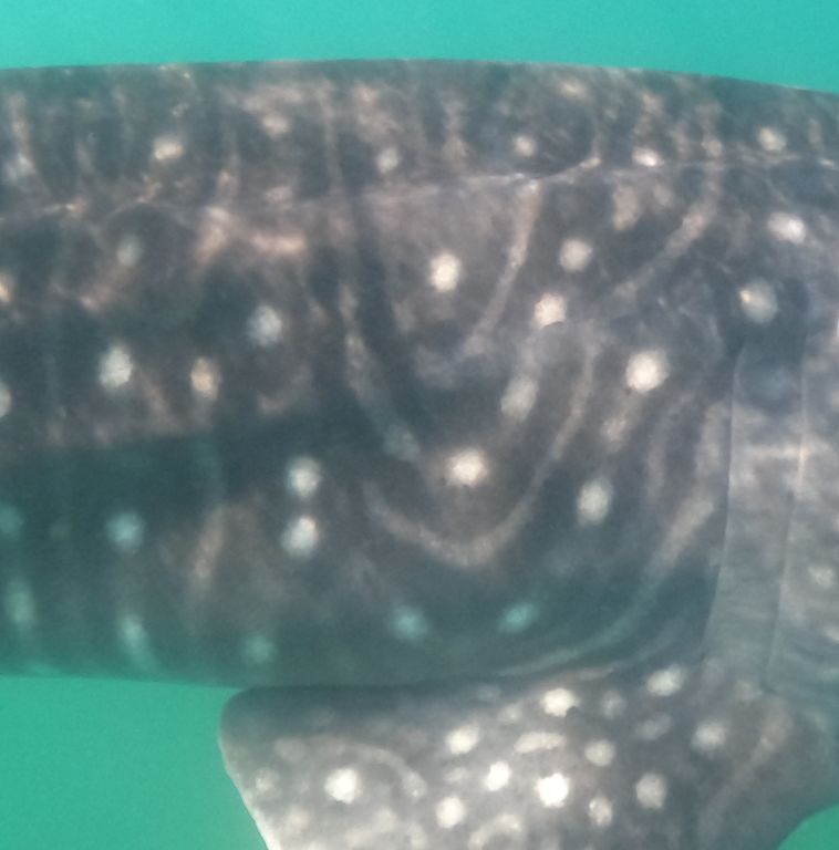 a7b4fdd2-e31a-4ccc-9738-9993b188df0f