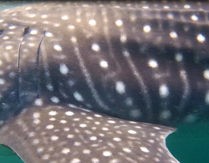 3d2a0e85-a982-4b7d-956d-dac00c67b1a4