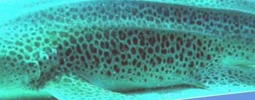 8911e65b-a73f-4c77-8b65-5bd93223e309