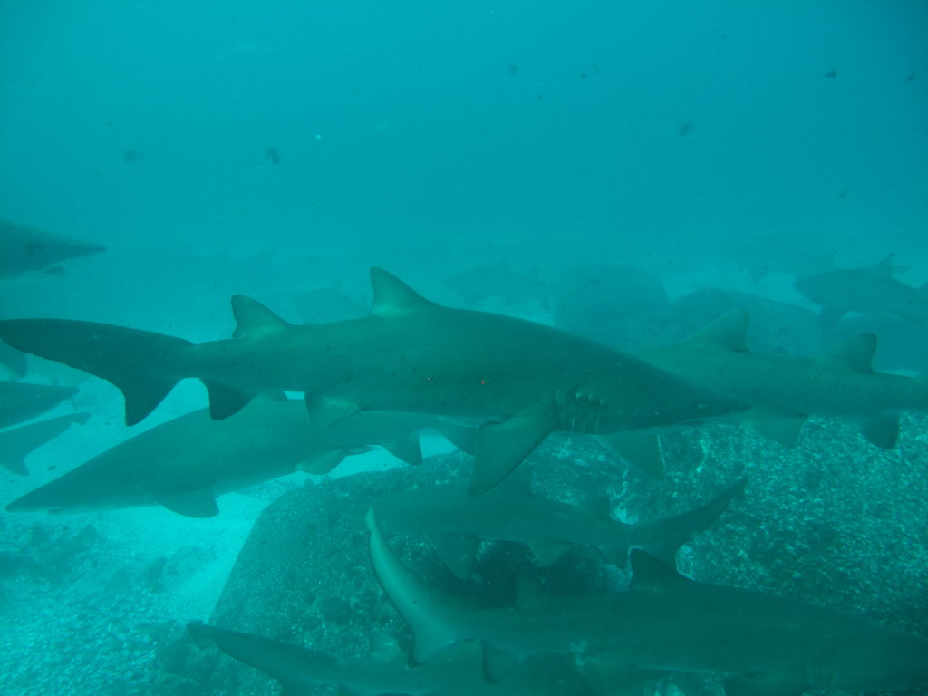 567e324d-f4e7-46f6-96a4-cc26f3fa25bf