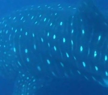 523843cd-5cf7-412f-a0a5-e8b1fa3c302f