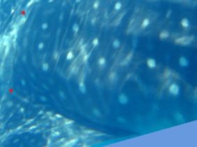 fea9cc79-f155-4c3f-bd0e-aa065e2037a4