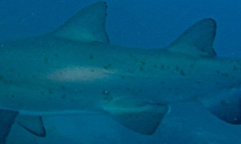 d3d97800-043a-41d2-848c-12a80f29ce0a