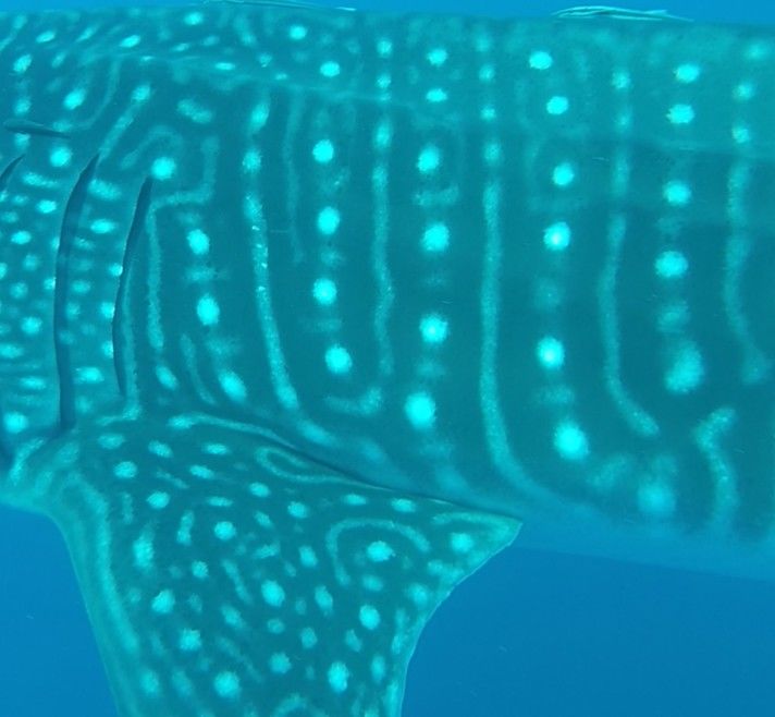 a0dd0754-cdc5-4f64-8a34-f752b8766432