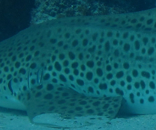 9364a0ba-800a-4611-9b69-1e9c78243cce