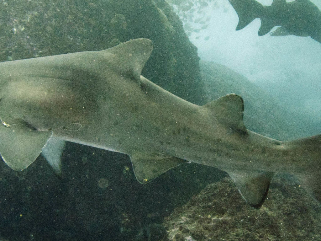 ca7fee04-c010-4f31-9d40-d3e12890af04