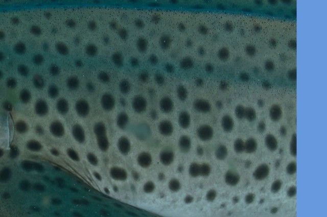 4b8975e6-bb43-4c0b-93ea-5ffc80134e2a