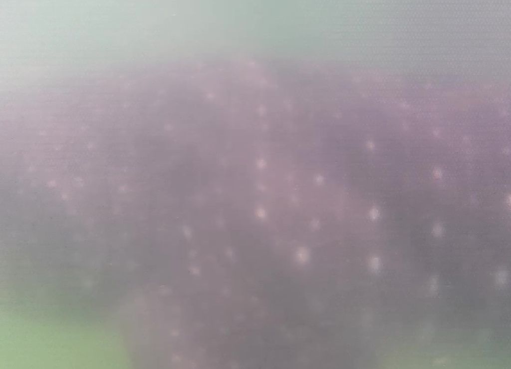 a568bf08-465f-47da-b3fa-5472b896cc78