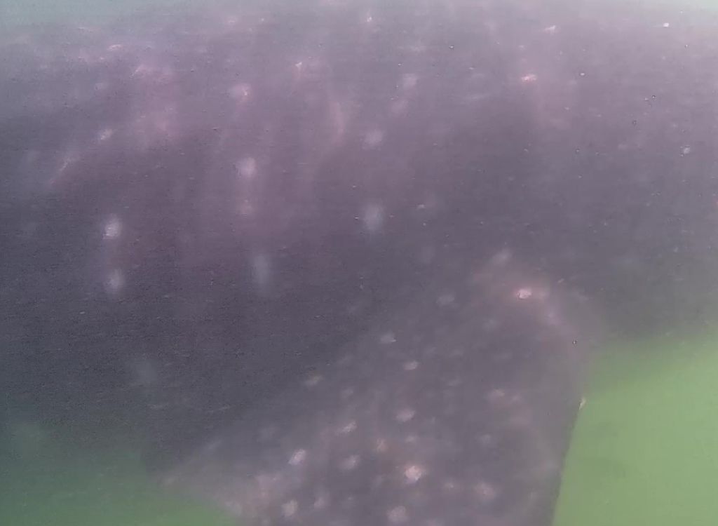 a568bf08-465f-47da-b3fa-5472b896cc78